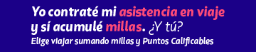 Alternate Text
