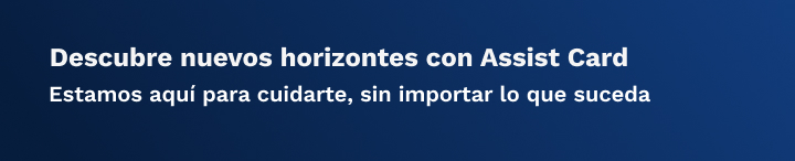 Alternate Text